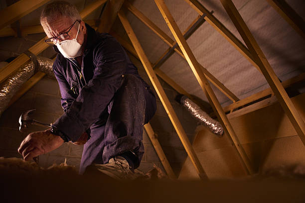Best Insulation Installation Services in Easton, PA